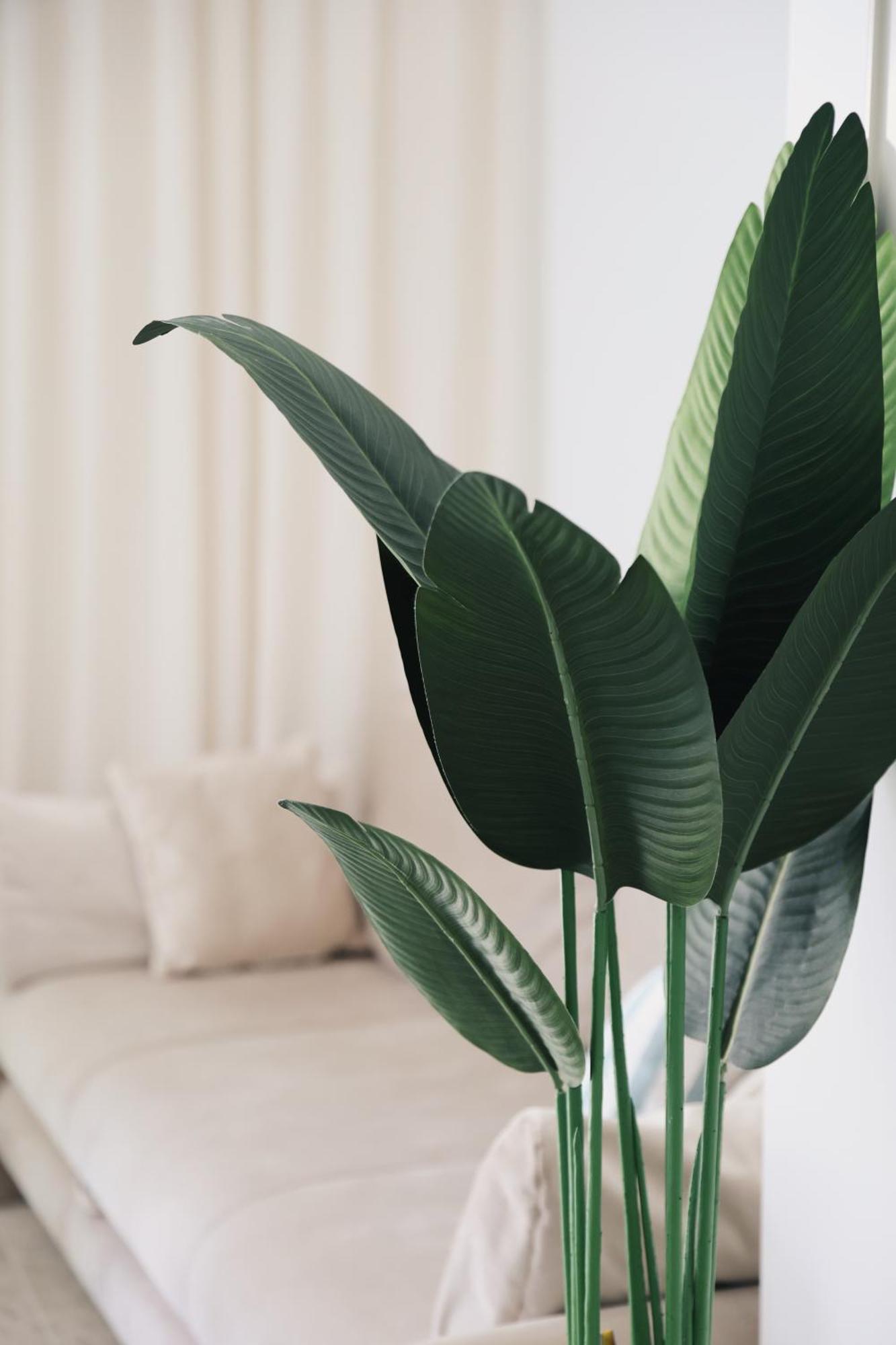 Apartman M&K Dubrovnik Ngoại thất bức ảnh